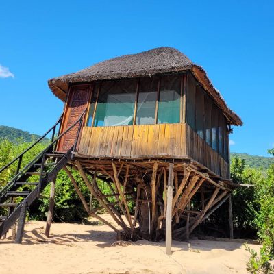 Sand treehouse