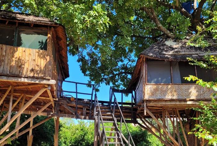 Double Tree House 1