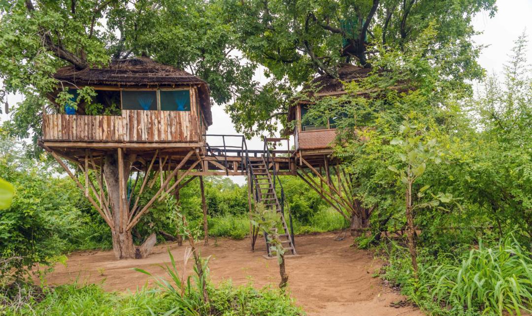 upper treehouse outside view kutchire lodge