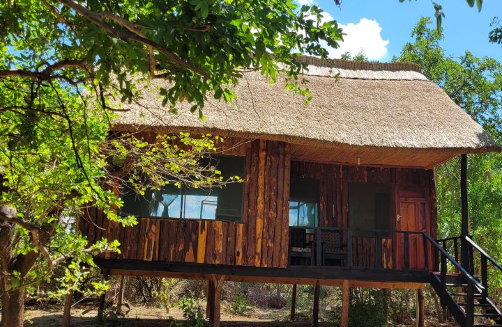 Chipembere