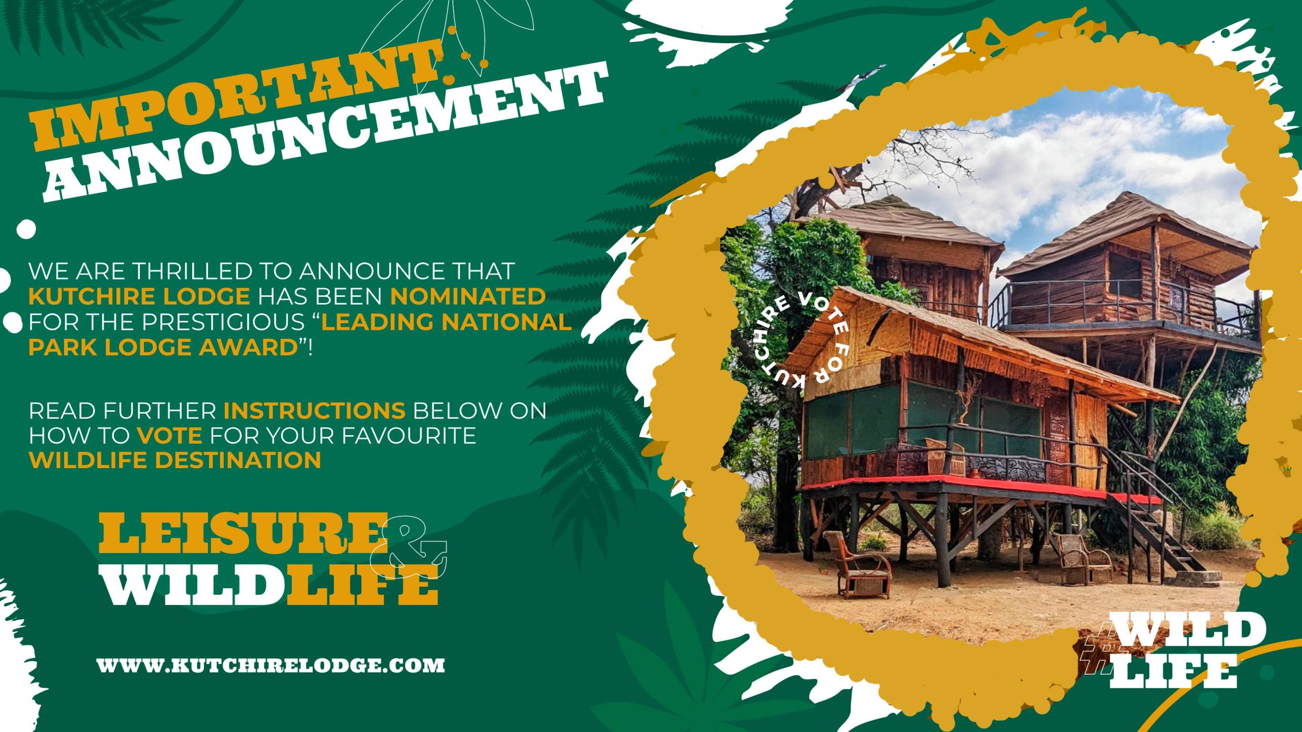 5774025 Announcement